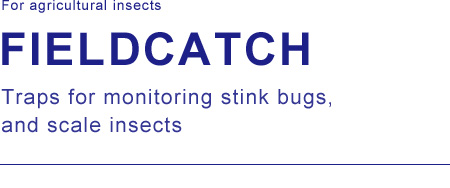 For agricultural insects FIELDCATCH Traps for monitoring stink bugs, and scale insects