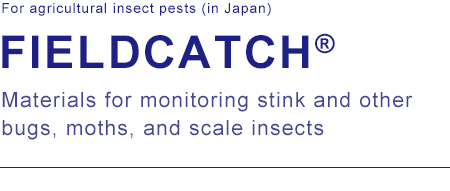 For agricultural insect pests (in Japan) FIELDCATCH Materials for monitoring stink and other bugs, moths, and scale insects