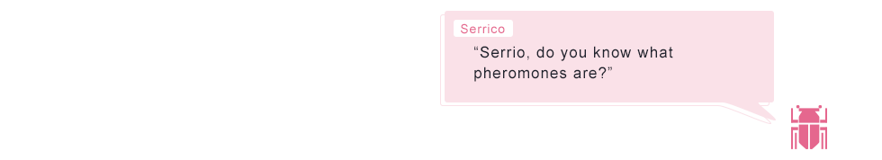 Serrico “Serrio, do you know what pheromones are?”