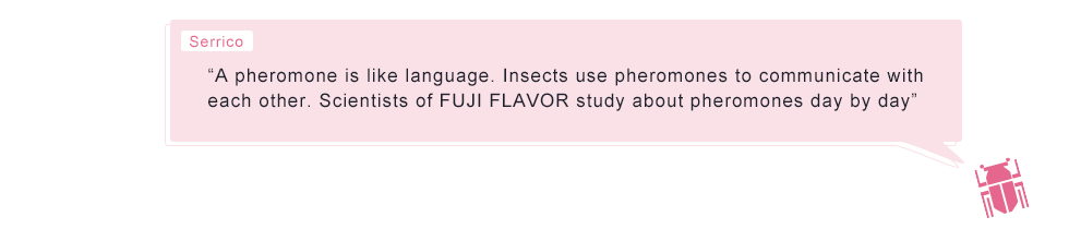 Serrico: “A pheromone is like language. Insects use pheromones to communicate with each other. Scientists of FUJI FLAVOR study about pheromones day by day”