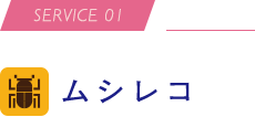 SERVICE 01 ムシレコ
