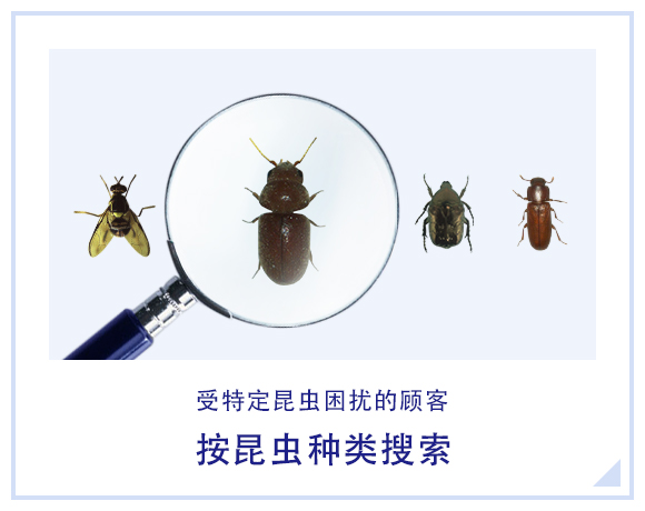 受特定昆虫困扰的顾客 按昆虫种类搜索
