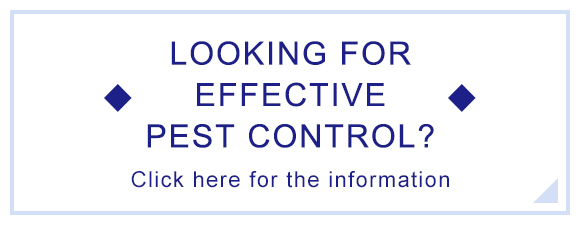 LOOKING FOR EFFECTIVE PEST CONTROL? Click here for the information