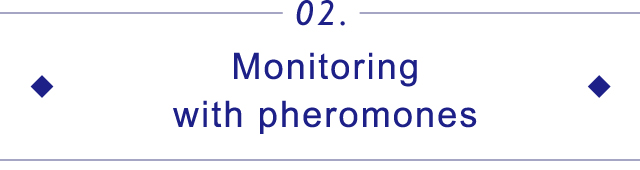 02.Monitoring with pheromones