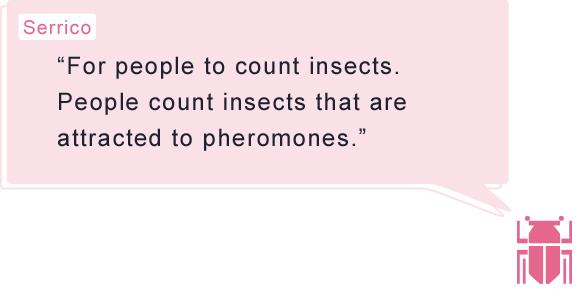 Serrico “For people to count insects. People count insects that are attracted to pheromones.”