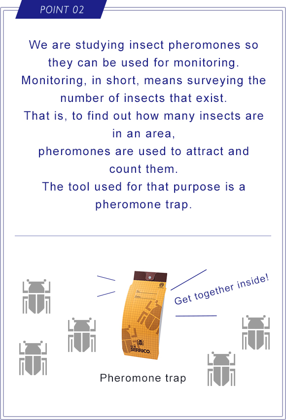 POINT 02 We are studying insect pheromones so they can be used for monitoring. Monitoring, in short, means surveying the number of insects that exist. That is, to find out how many insects are in an area, pheromones are used to attract and count them. The tool used for that purpose is a pheromone trap.