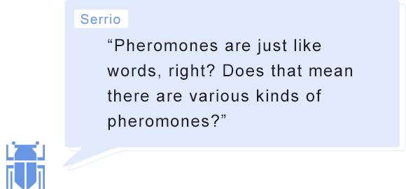 Serrio: “Pheromones are just like words, right? Does that mean there are various kinds of pheromones?”