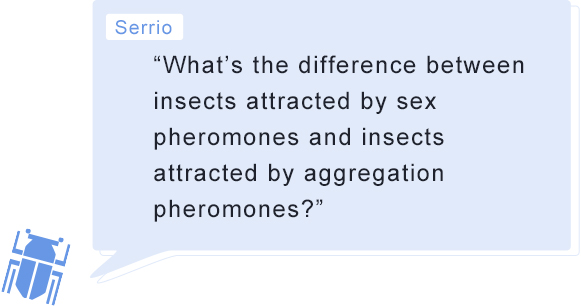 Serrio “What’s the difference between insects attracted by sex pheromones and insects attracted by aggregation pheromones?”