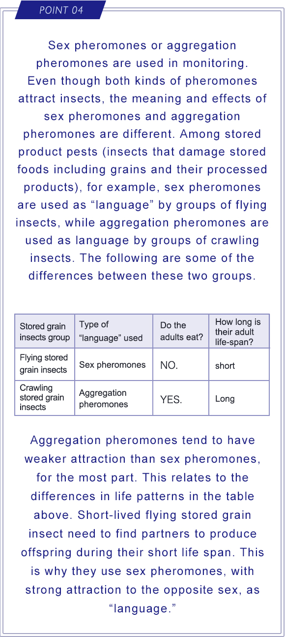 POINT 04 Sex pheromones or aggregation pheromones are used in monitoring. Even though both kinds of pheromones attract insects, the meaning and effects of sex pheromones and aggregation pheromones are different. Among stored product pests (insects that damage stored foods including grains and their processed products), for example, sex pheromones are used as “language” by groups of flying insects, while aggregation pheromones are used as language by groups of crawling insects. The following are some of the differences between these two groups. Aggregation pheromones tend to have weaker attraction than sex pheromones, for the most part. This relates to the differences in life patterns in the table above. Short-lived flying stored grain insect need to find partners to produce offspring during their short life span. This is why they use sex pheromones, with strong attraction to the opposite sex, as “language.”