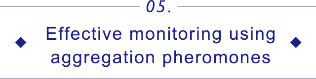 05.Effective monitoring using aggregation pheromones