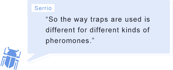 Serrio “So the way traps are used is different for different kinds of pheromones.”