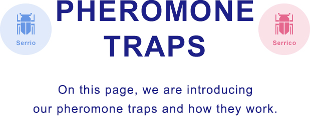 PHEROMONE TRAPS On this page, we are introducing our pheromone traps and how they work.