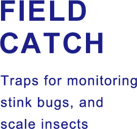 FIELD CATCH Traps for monitoring stink bugs, and scale insects