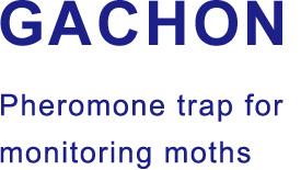 GACHON Pheromone trap for monitoring moths
