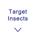 Target Insects
