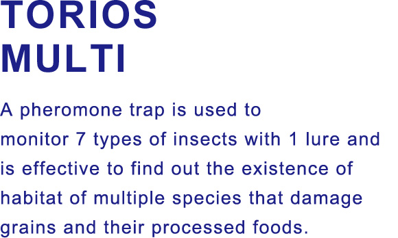 TORIOS MULTI / A pheromone trap is used to monitor 7 types of insects with 1 lure and is effective to find out the existence of habitat of multiple species that damage grains and their processed foods.